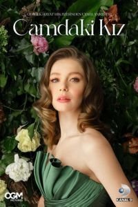 Девушка за стеклом 1-3 сезон 